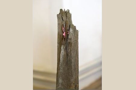 26-04-19 Rahel Bruns Till Steinbrenner