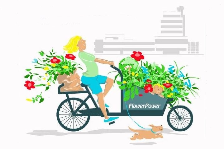 26-09-20 Pflanzenflohmarkt Stadt Ahrensburg