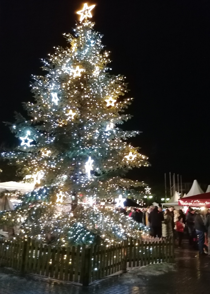 Der Tannenbaum auf dem Norderstedter Rathausplatz