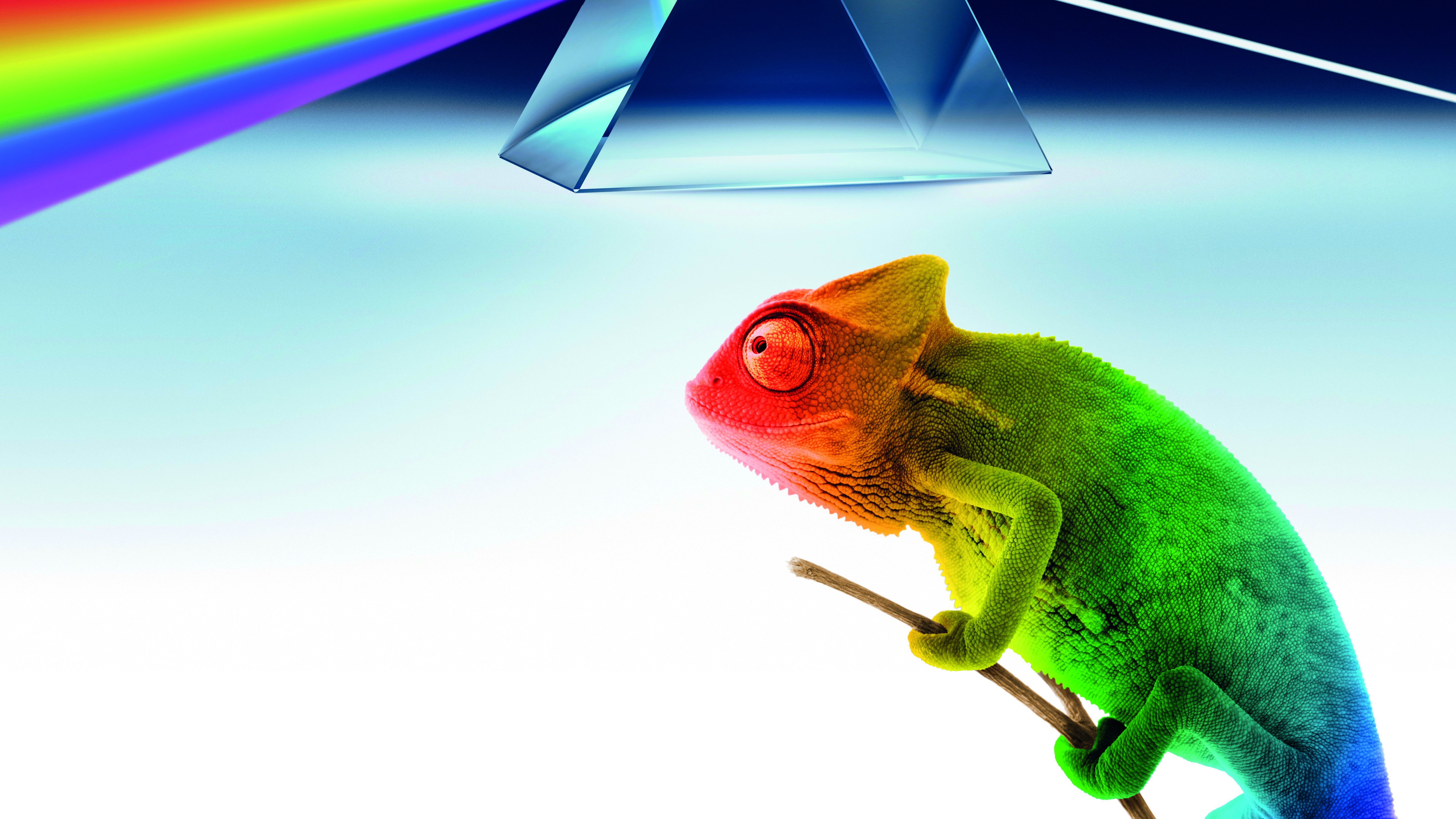 Grafik: Carl Bosch Museum Heidelberg