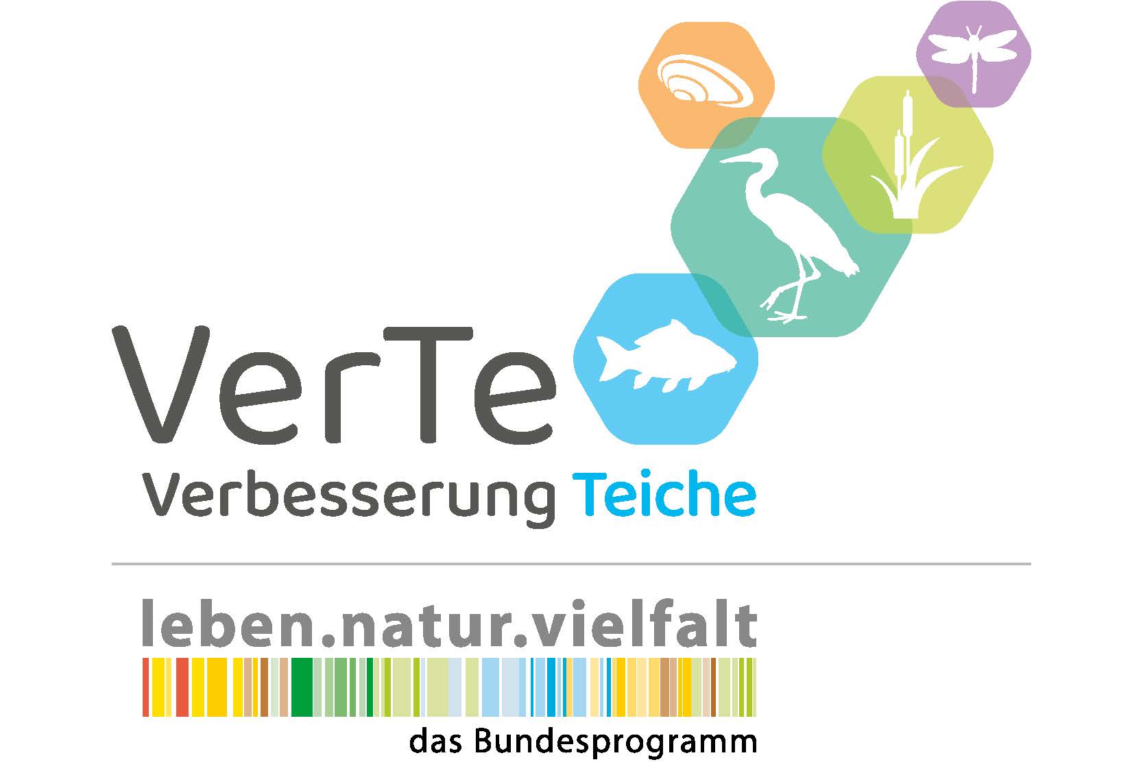 VerTe - Verbesserung Teiche