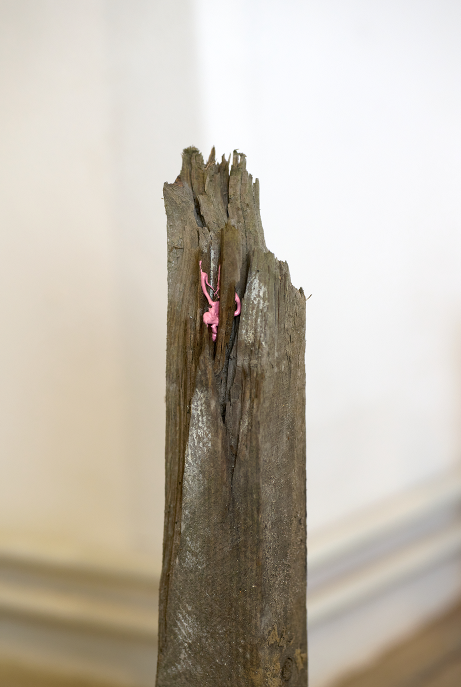 Stammbäume, Detal, 2025