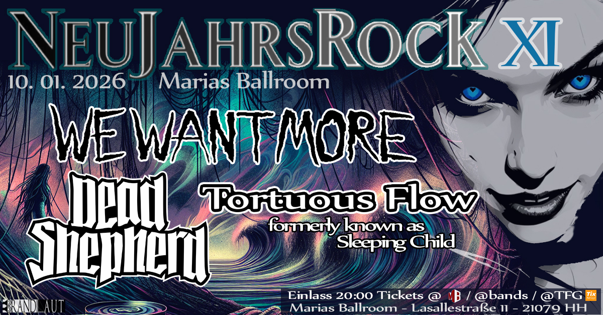 Neujahrsrock XI 260110 FB Fin