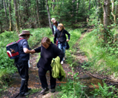 Ab in den Urwald - in T&ouml;nsheide