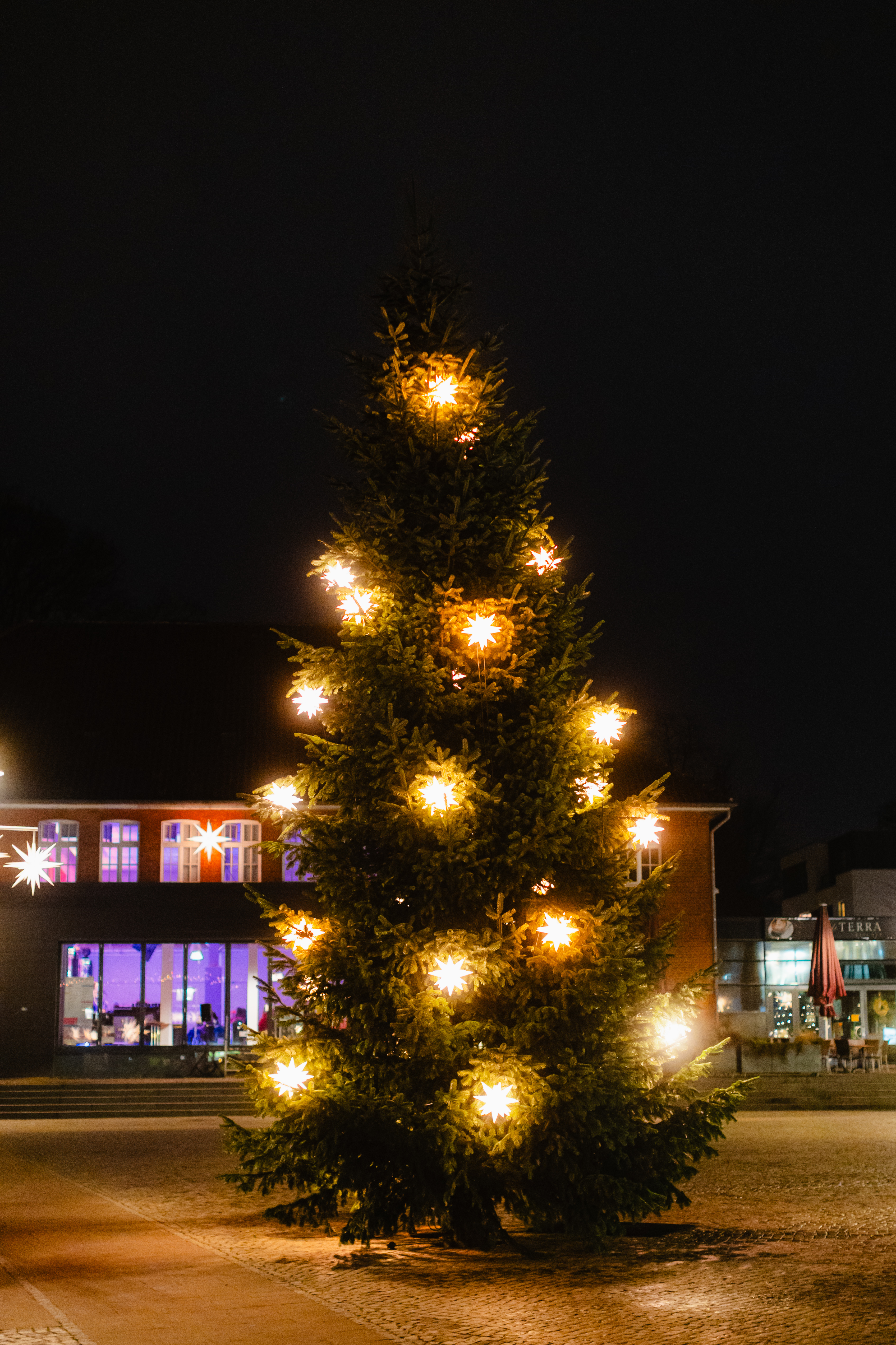 Leuchtender Weihnachtsbaum mit Sternen vor einem Gebäude bei Nacht in Alsterdorf.