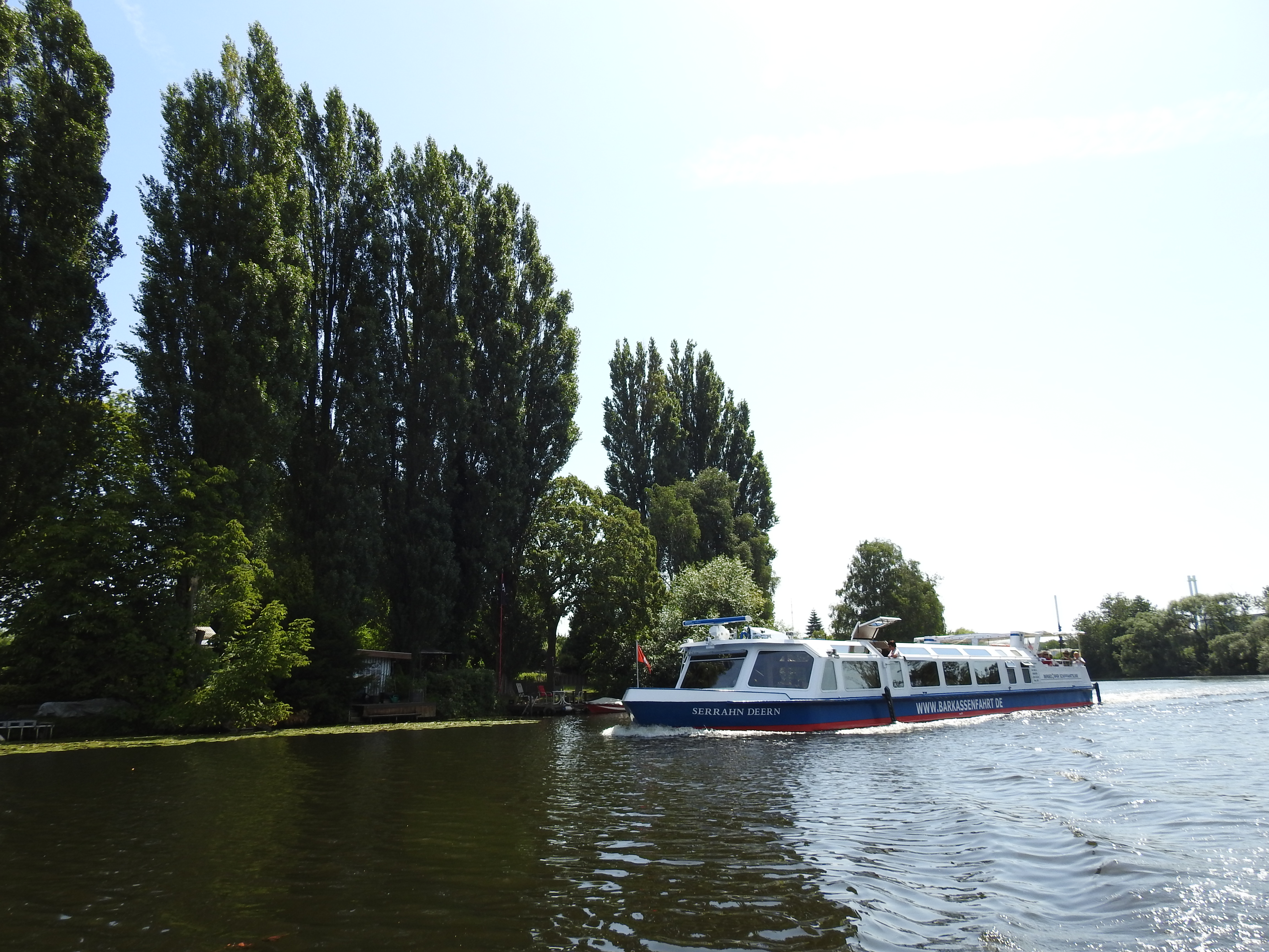 Bille Billerhuder Insel (81)
