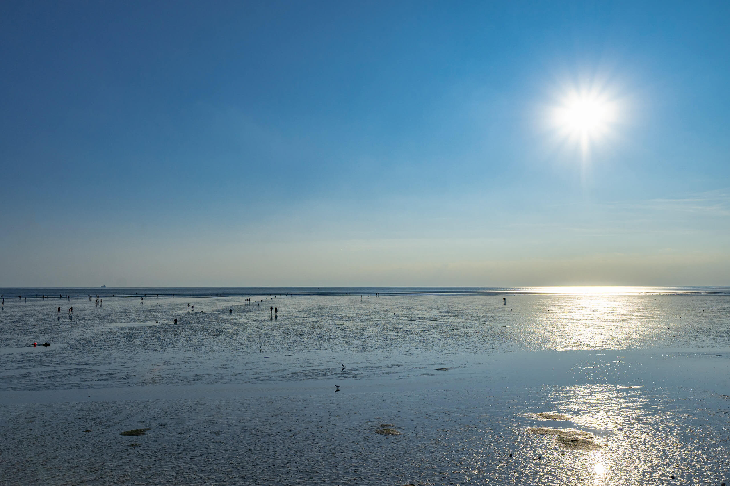 Watt für Einsteiger: Kurze Wattwanderung in Büsum