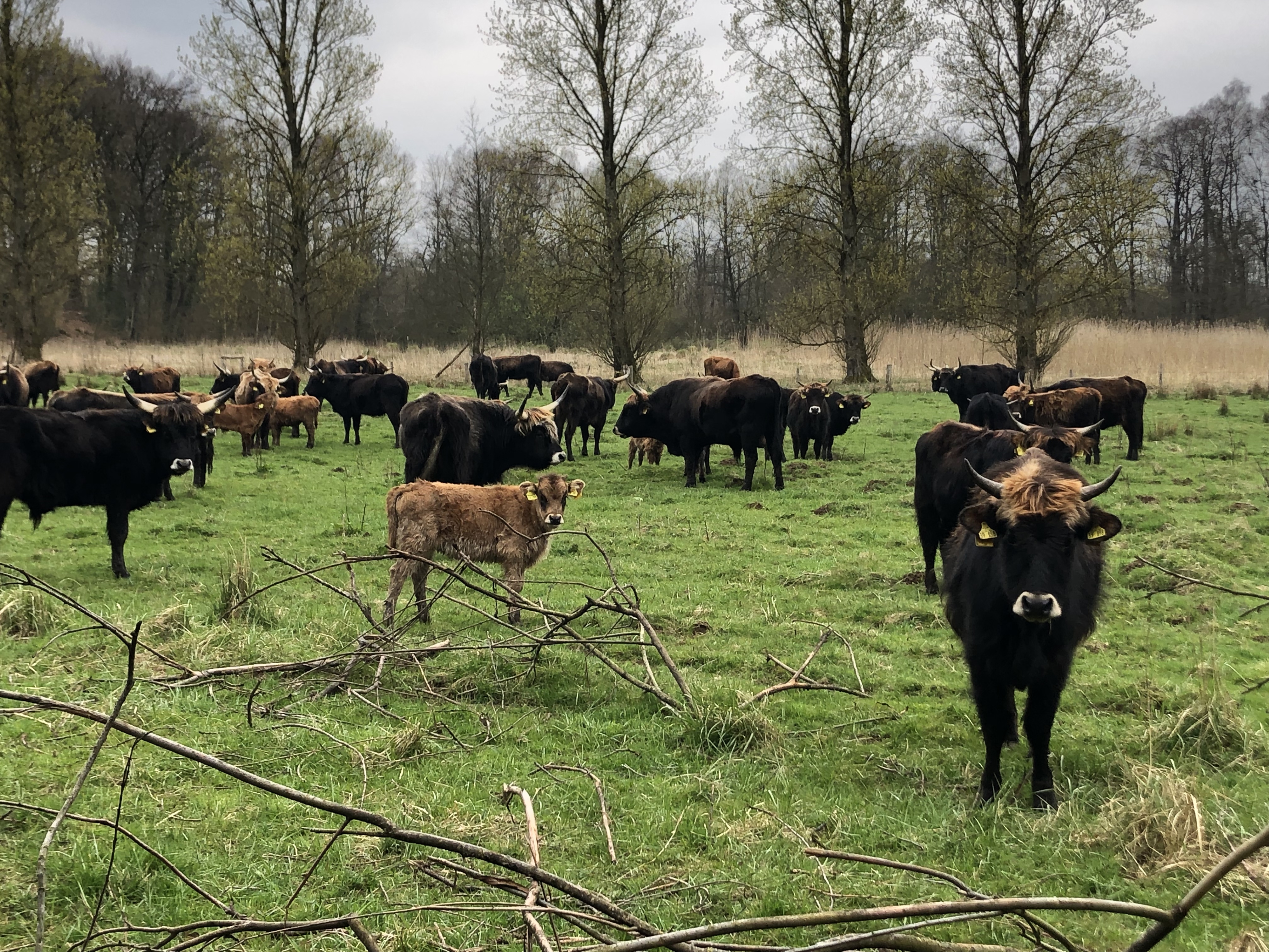 Tag der offenen Flur ERNA e.V.