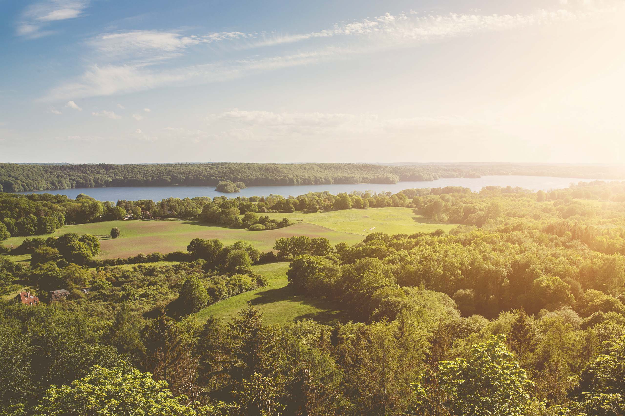 Neujahrskonzert: Flöte! Klasse!