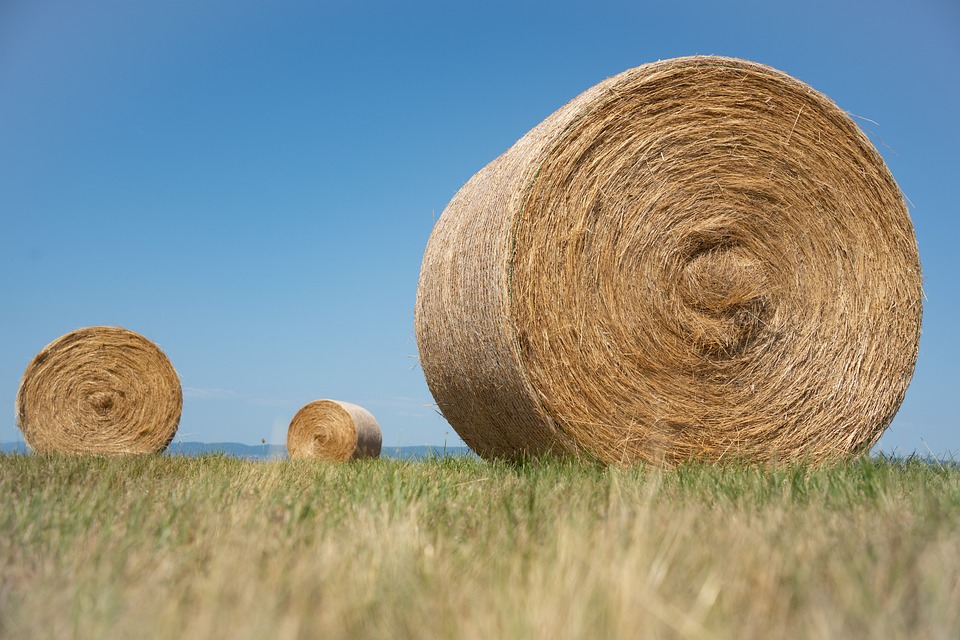 Spiel und Spaß in Sommerhusen