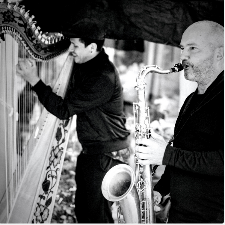 meldorfer kulturbonsche: Saxyarpa