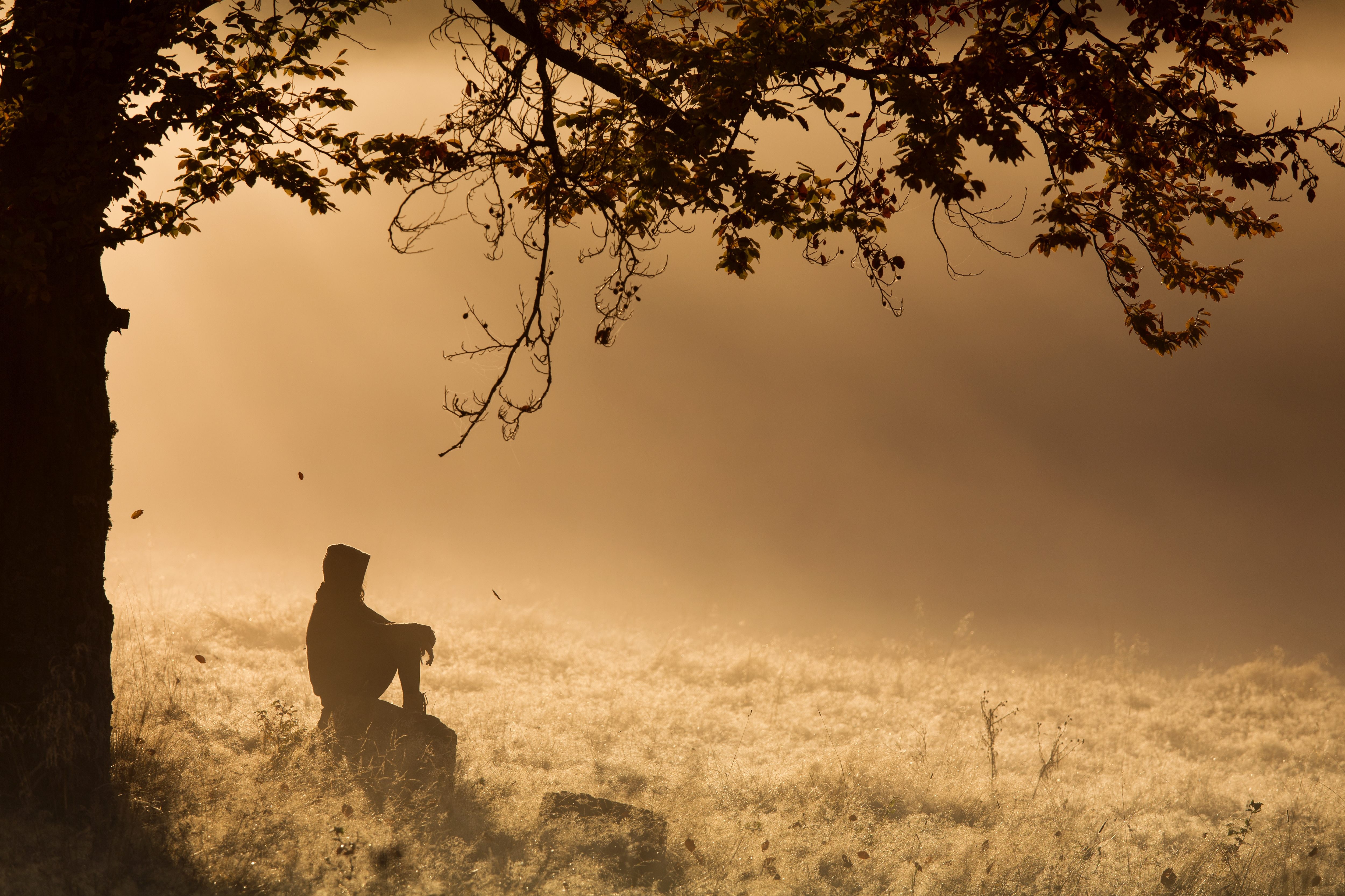 Meditation in der Natur