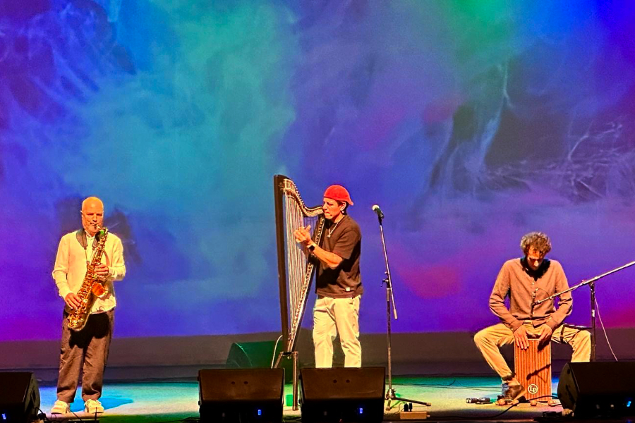 saxyarpa in Konzert