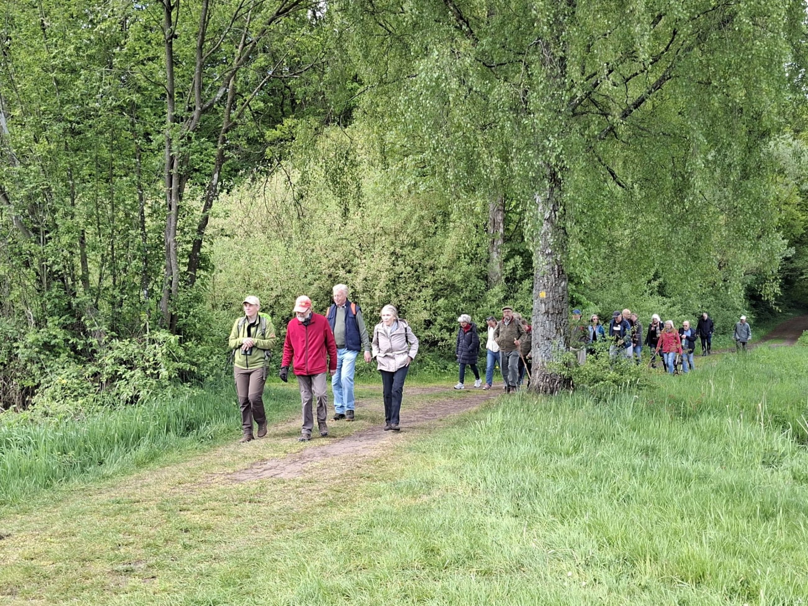 Tag des Wanderns in Kellinghusen