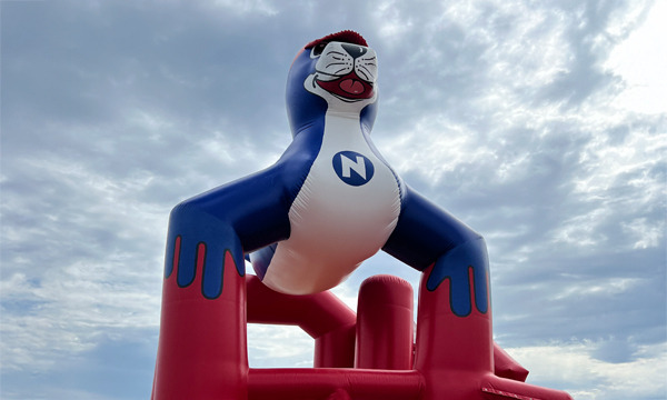 DLRG-Nivea Strandfest