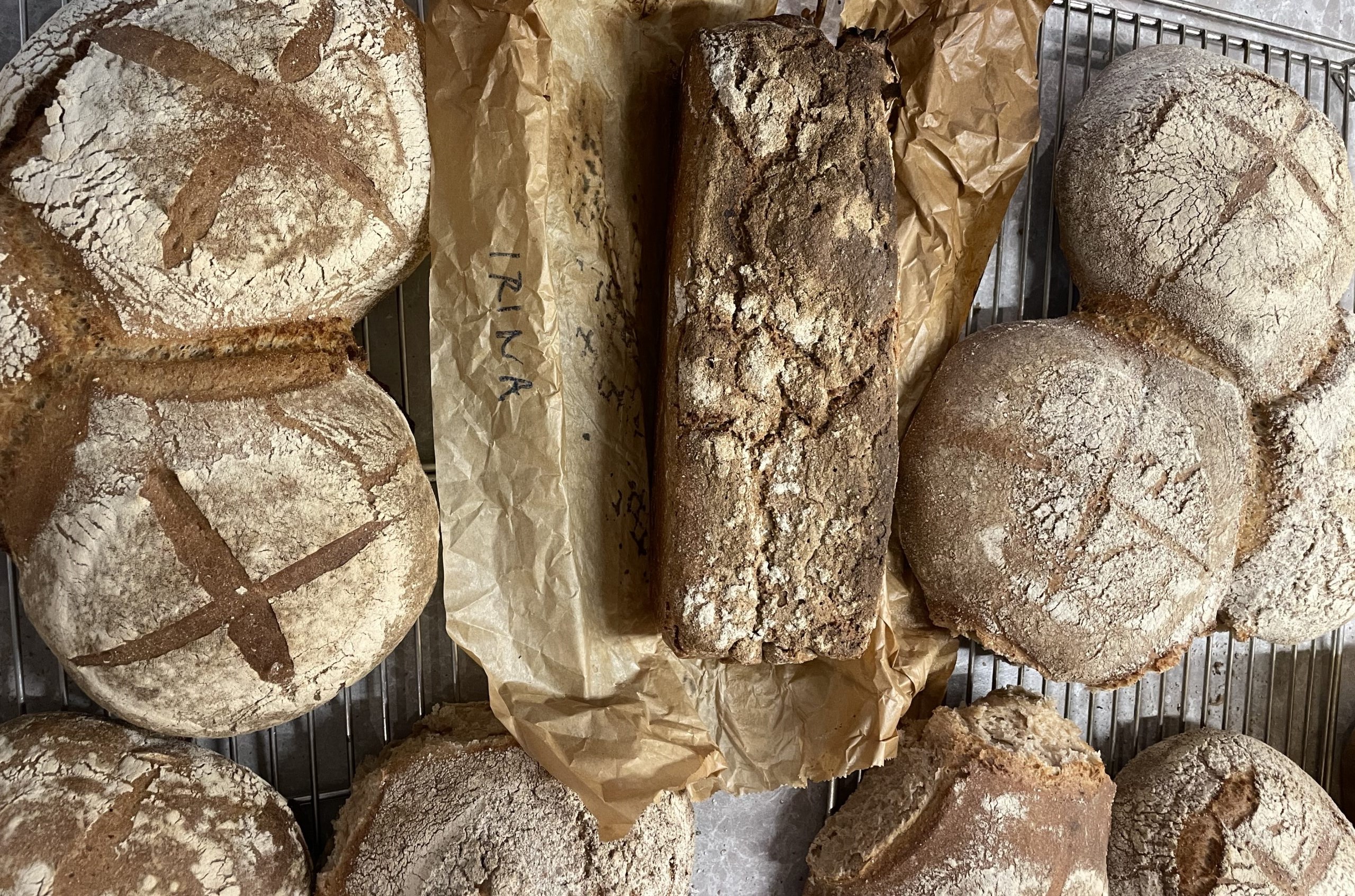 Backworkshop Bio-Sauerteigbrot