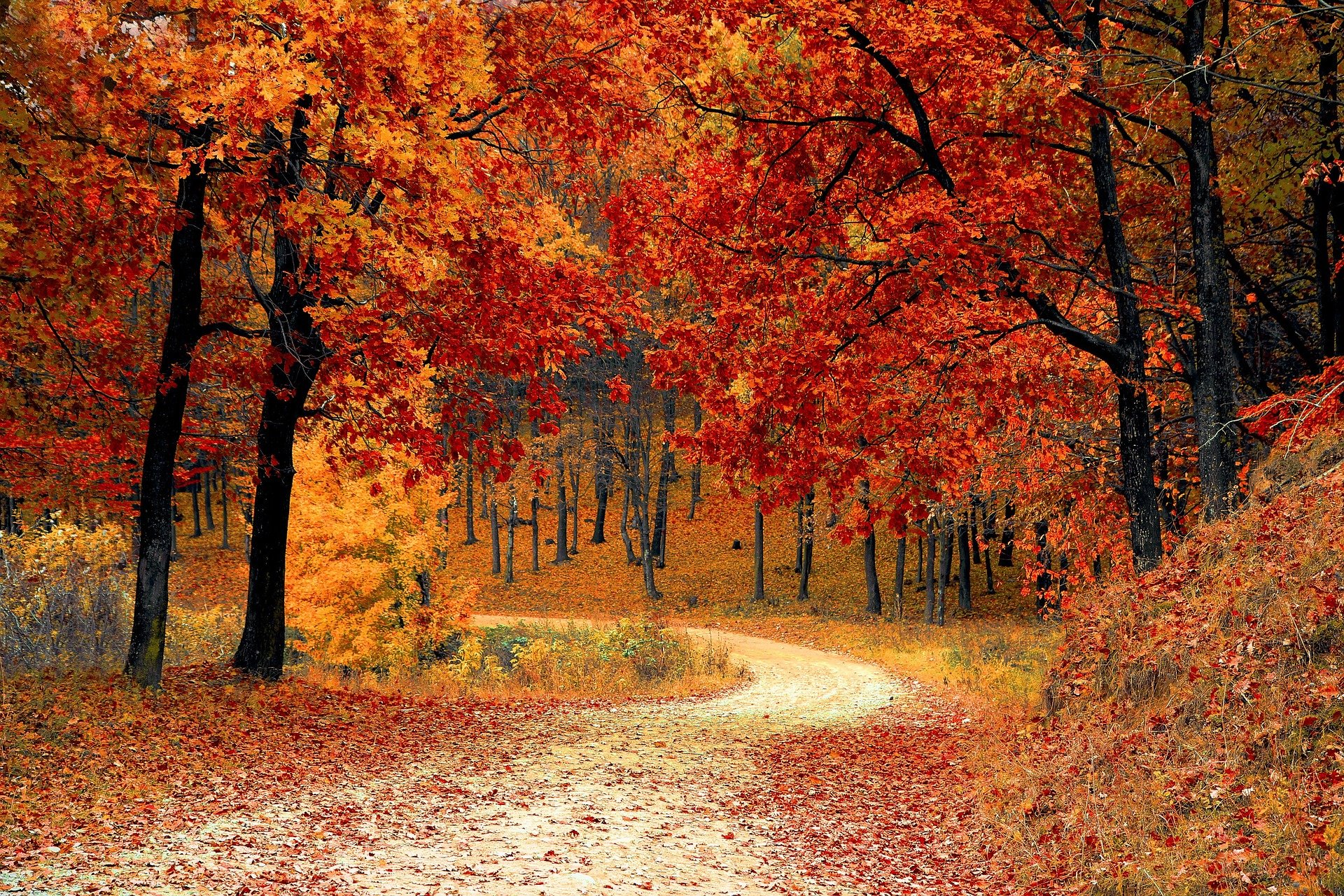 road-gb7e8ab62d_1920