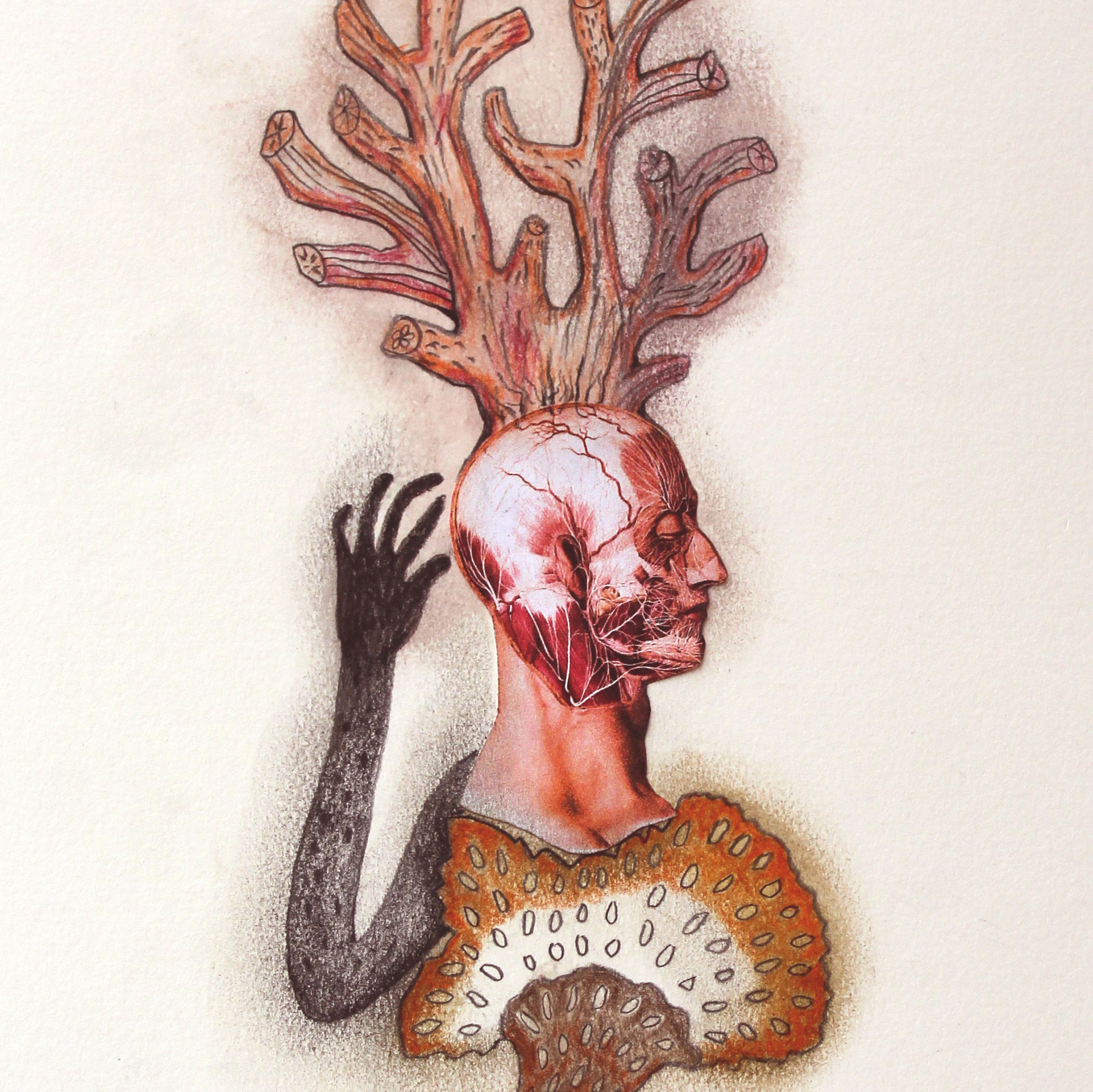 K. Magens, "Auswuchs", 2026, Ausschnitt