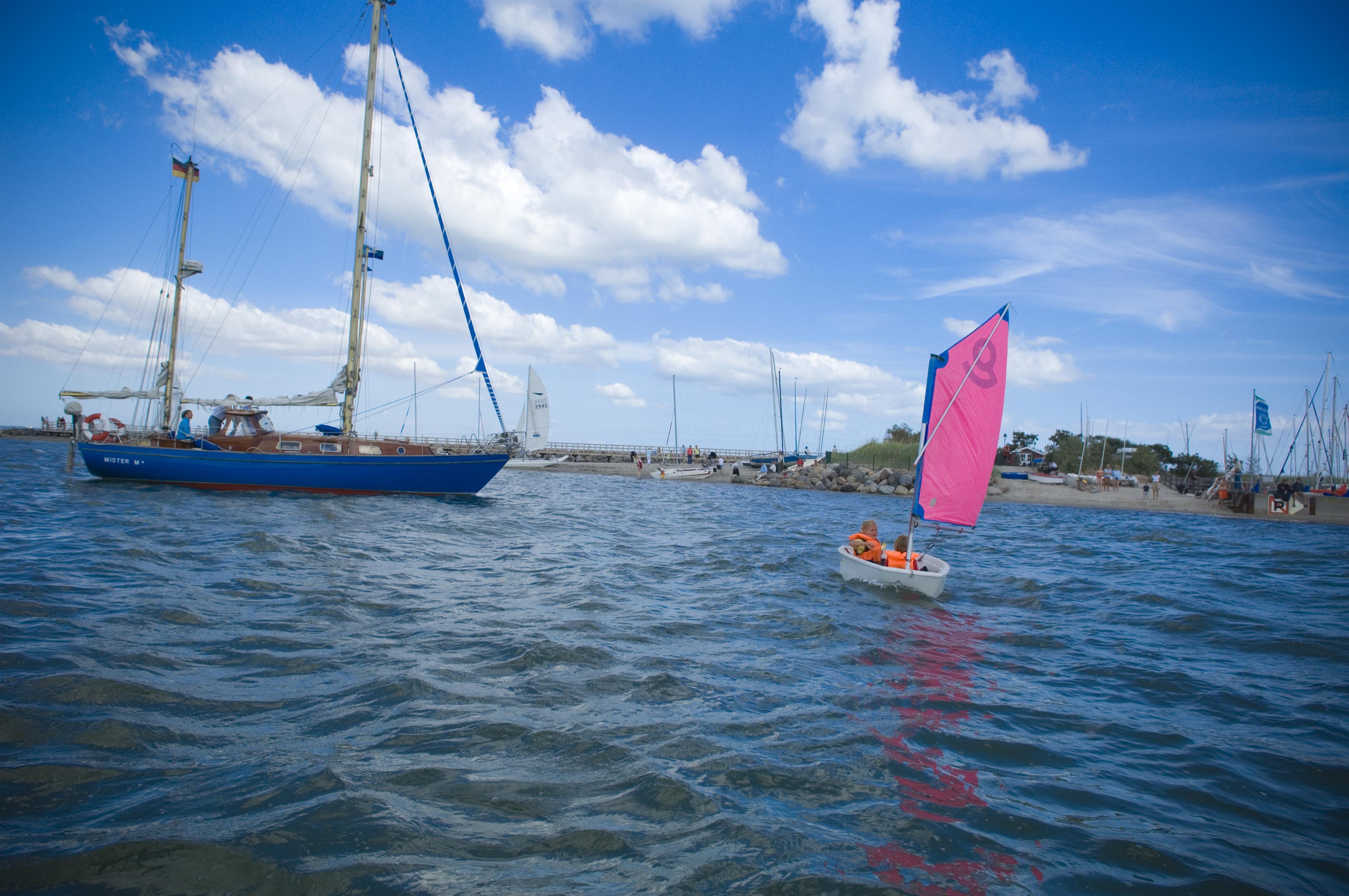 2. Opti-Cup