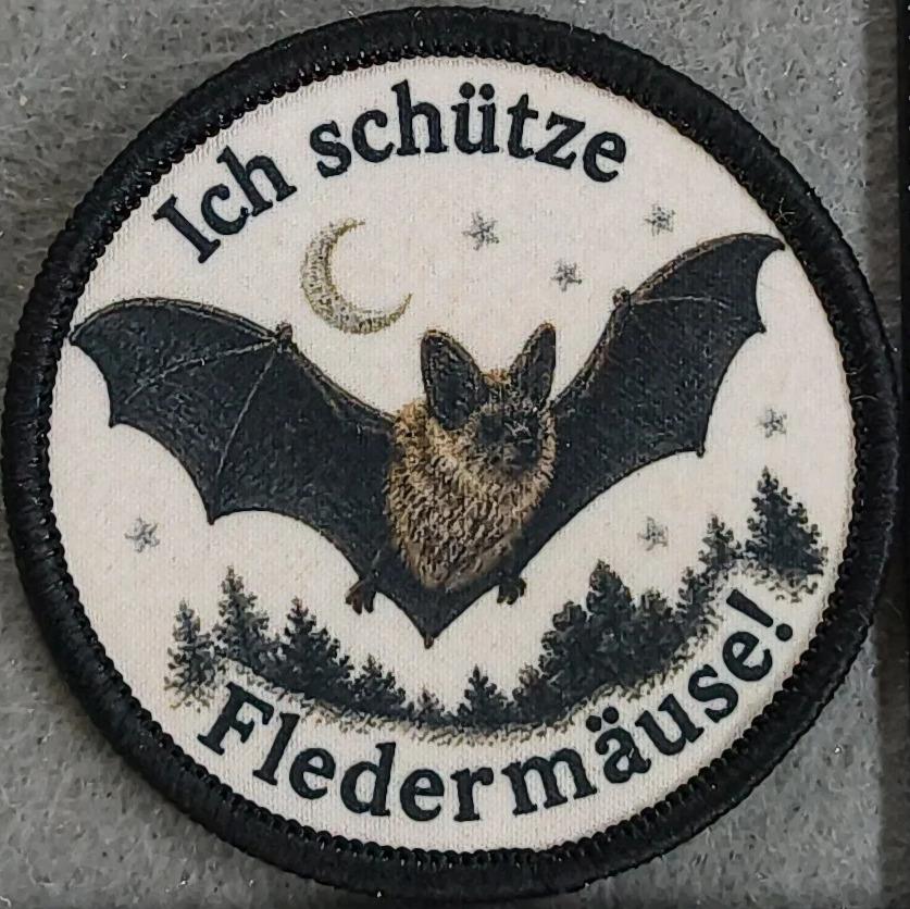 Kinder-Fledermaus-Führerschein