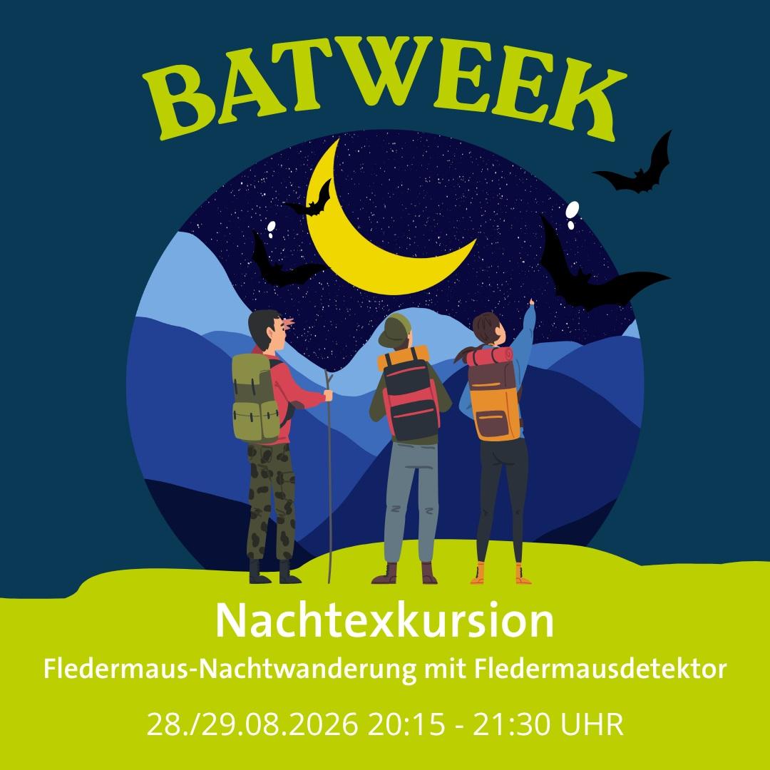 Batweek_Nachtwanderung