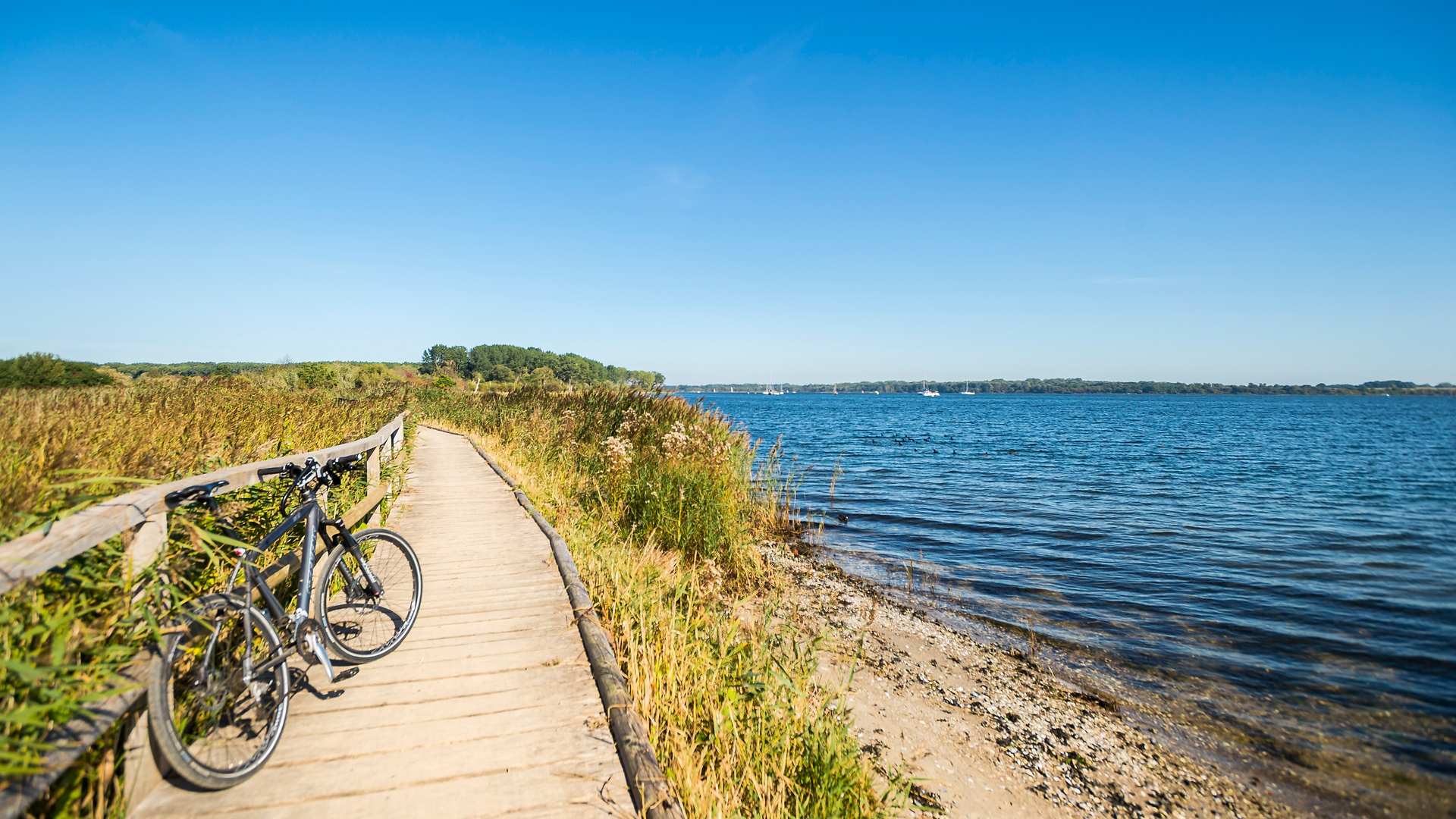 Die Grenzradtour um den Dassower See