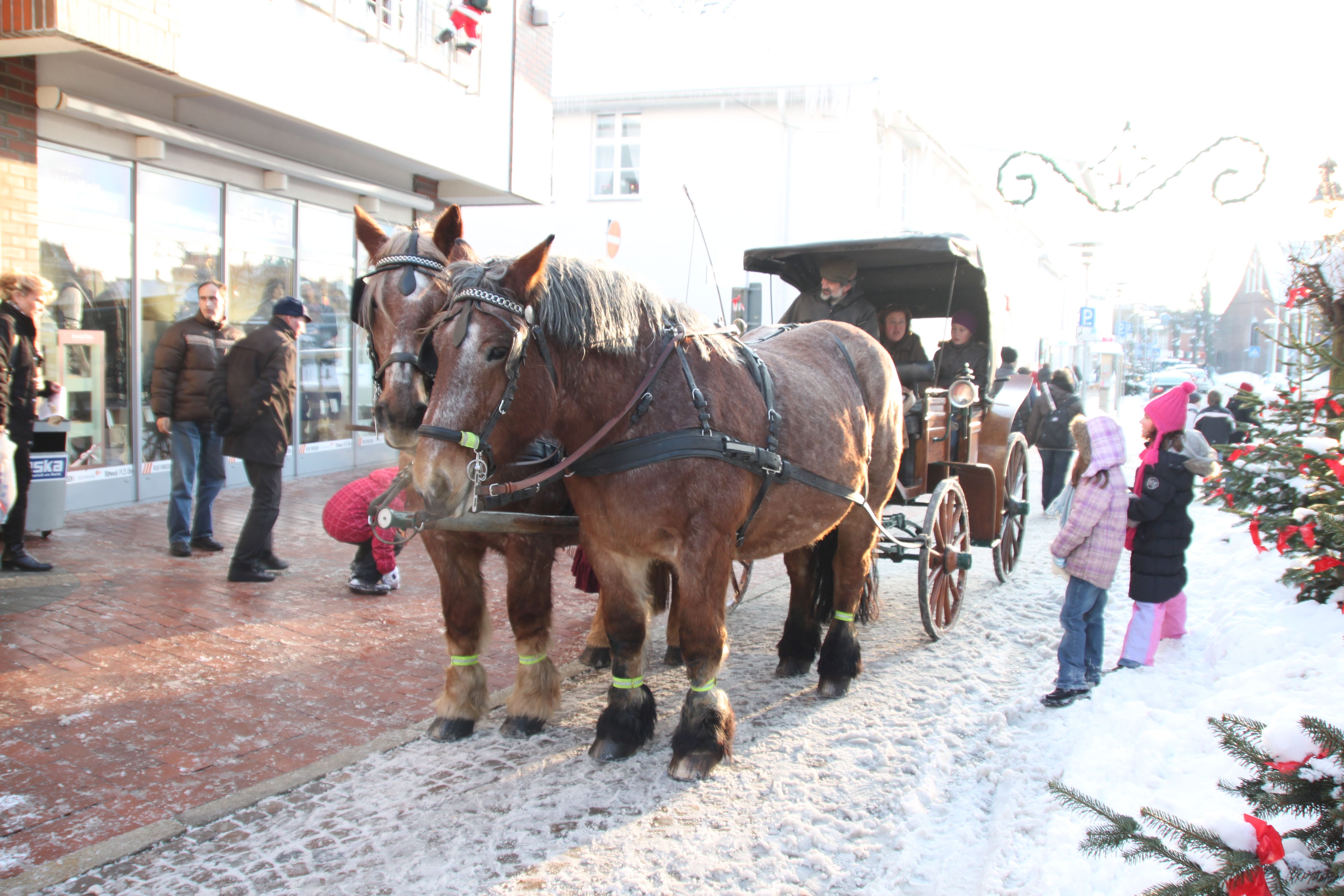 Kutschfahrten durch Neustadt in Holstein