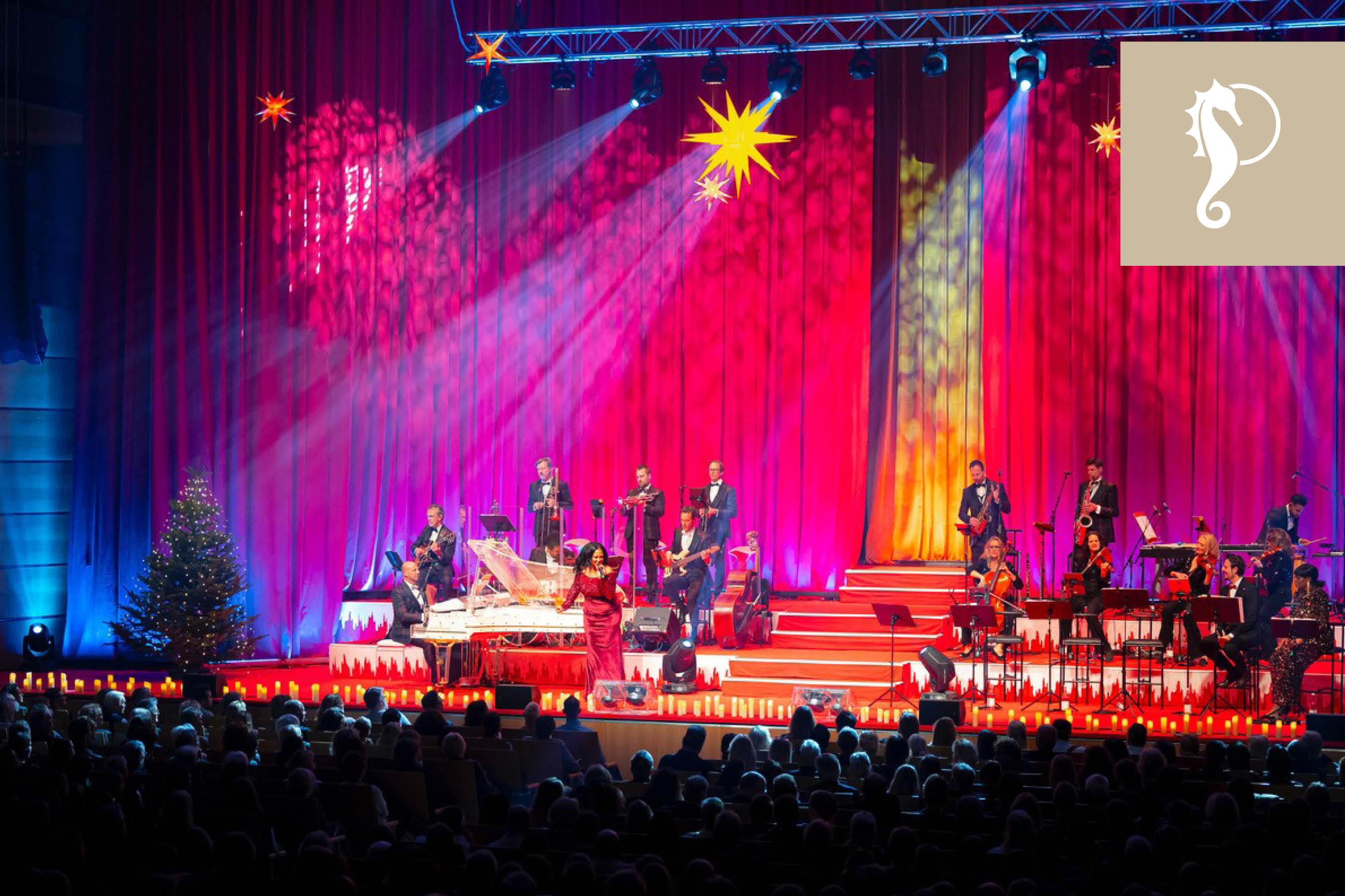 Weihnachtskonzert mit Max and friends