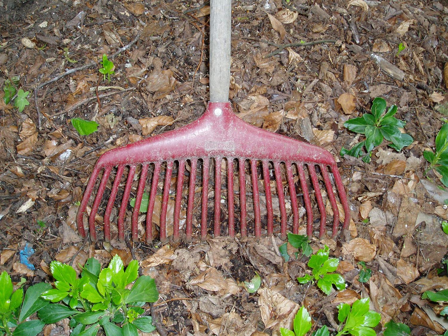 Harke - Gartenpflege im Herbst
