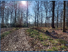 Naturkundliche Wanderung