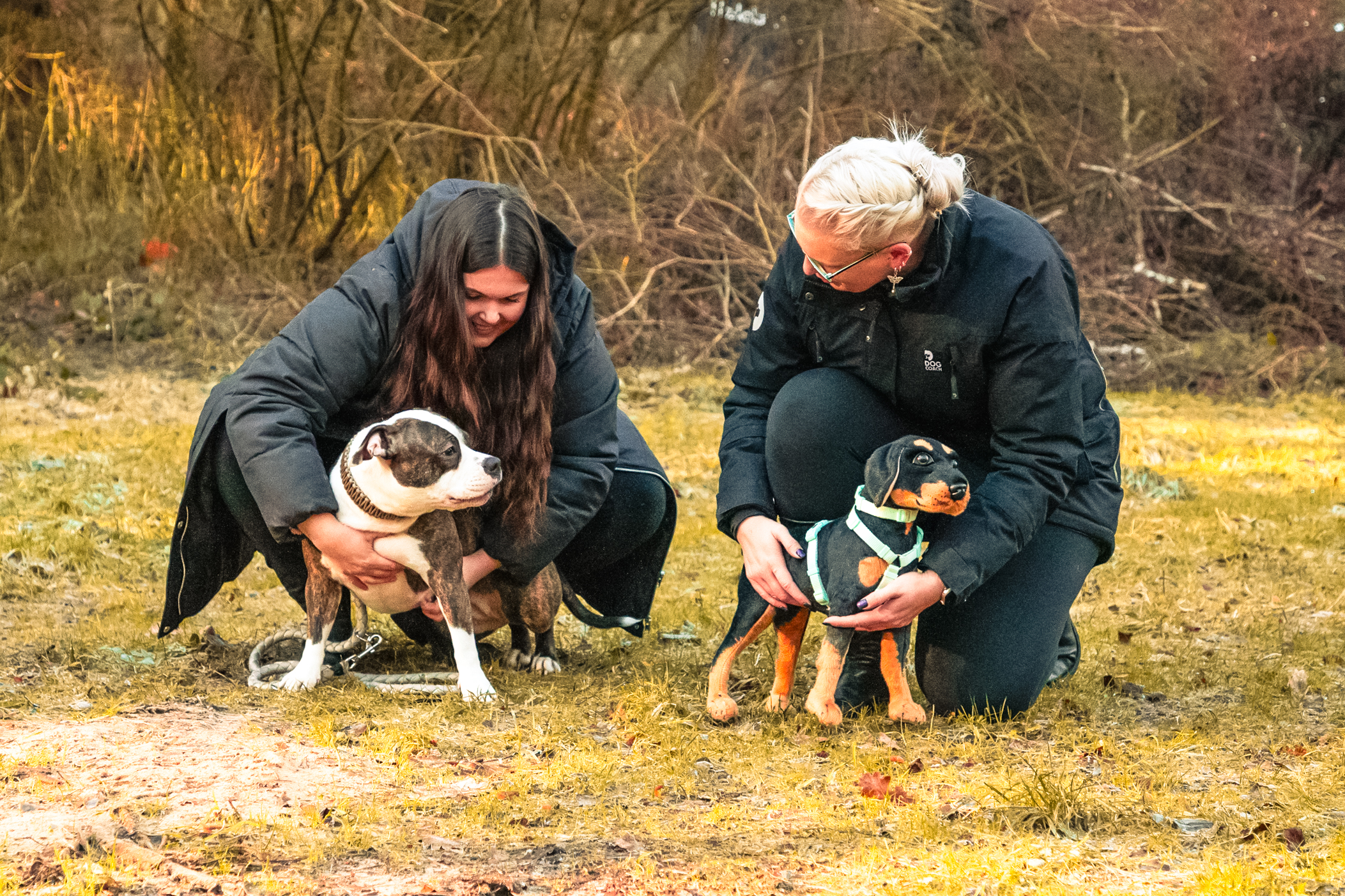 110125hundeschuletierischcleverhorns7133