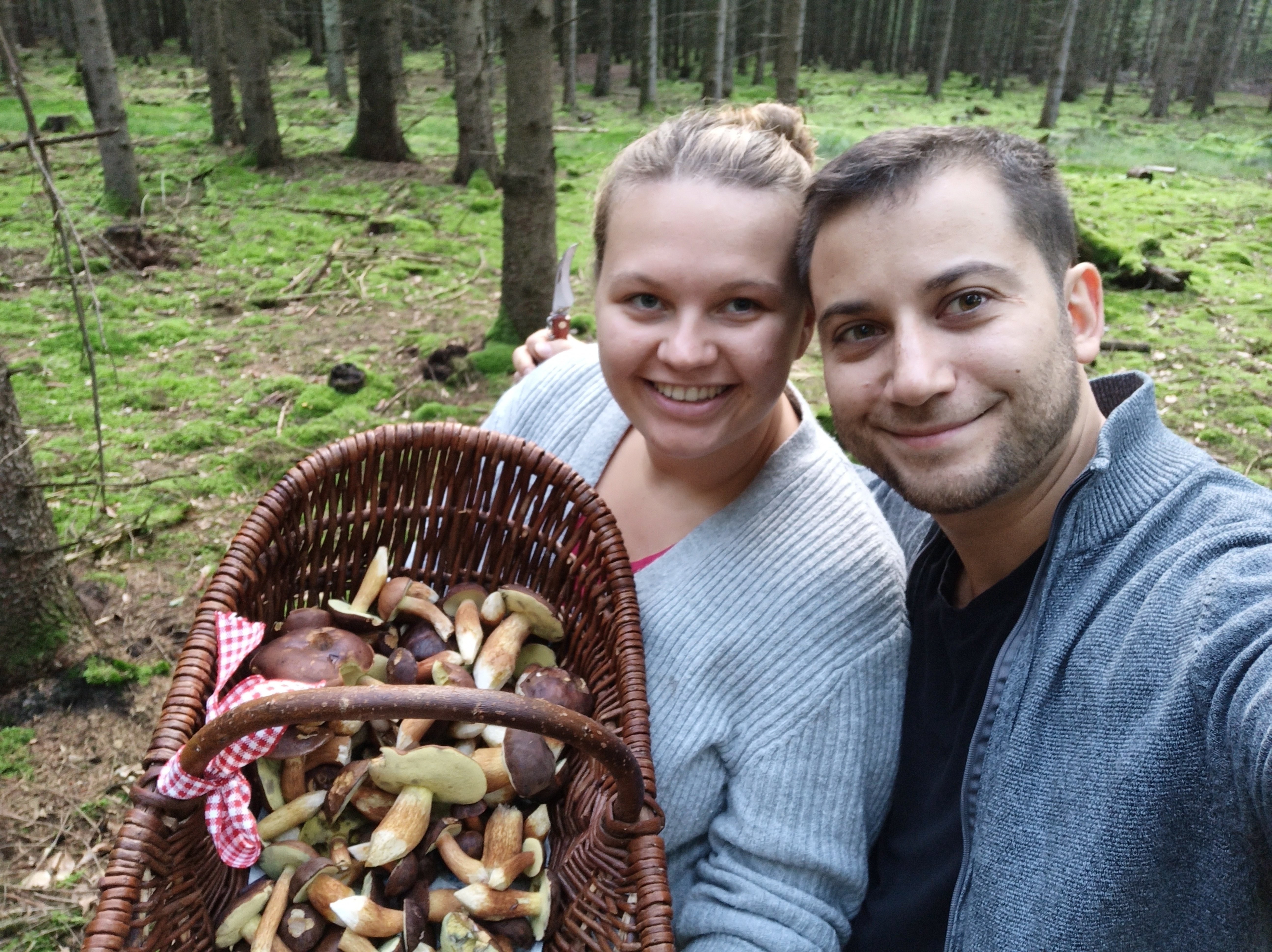 Pilzwanderung Hamburg, Pilzkorb nach Pilzführung im Wald