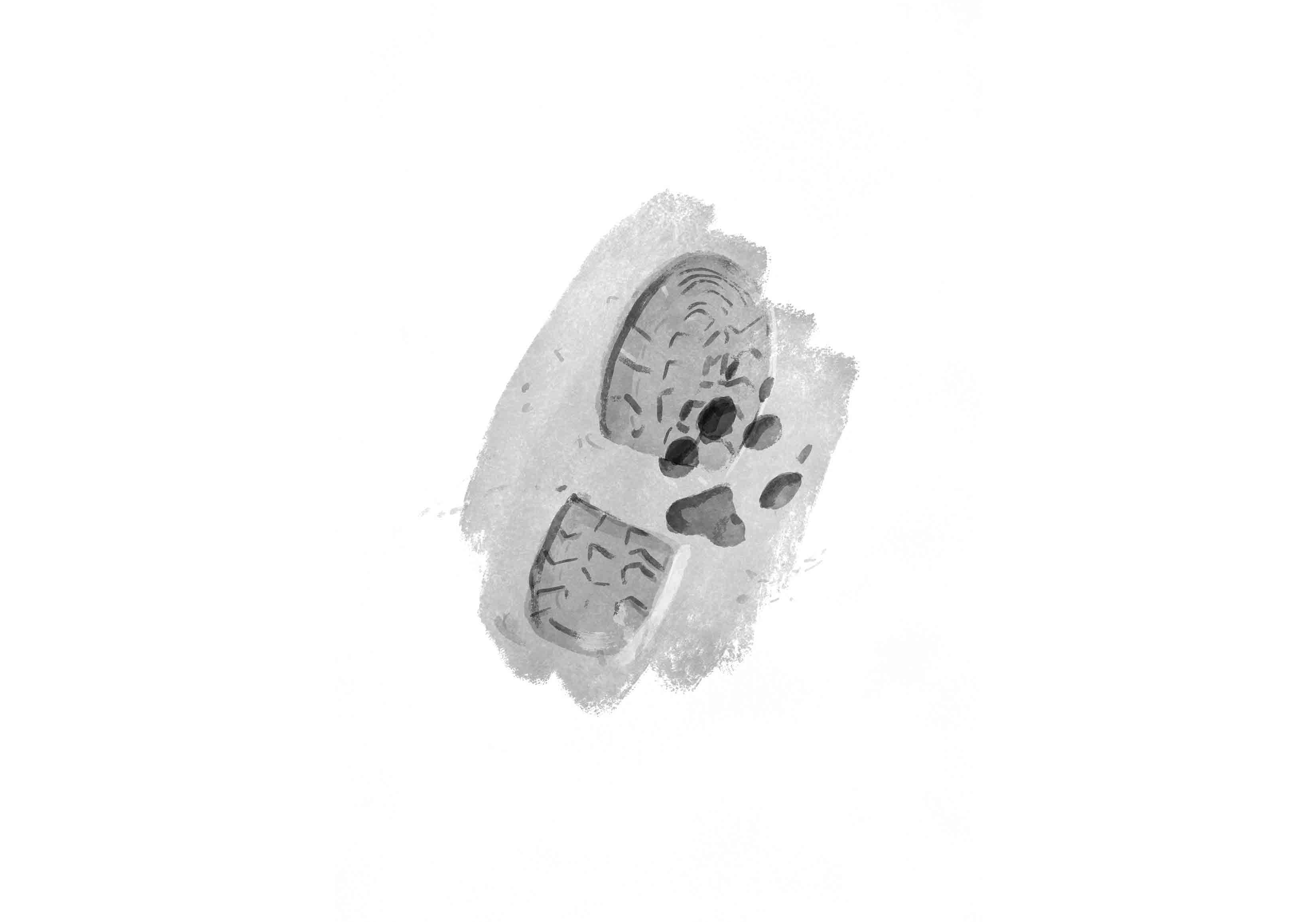 Schuh- und Pfotenabdruck