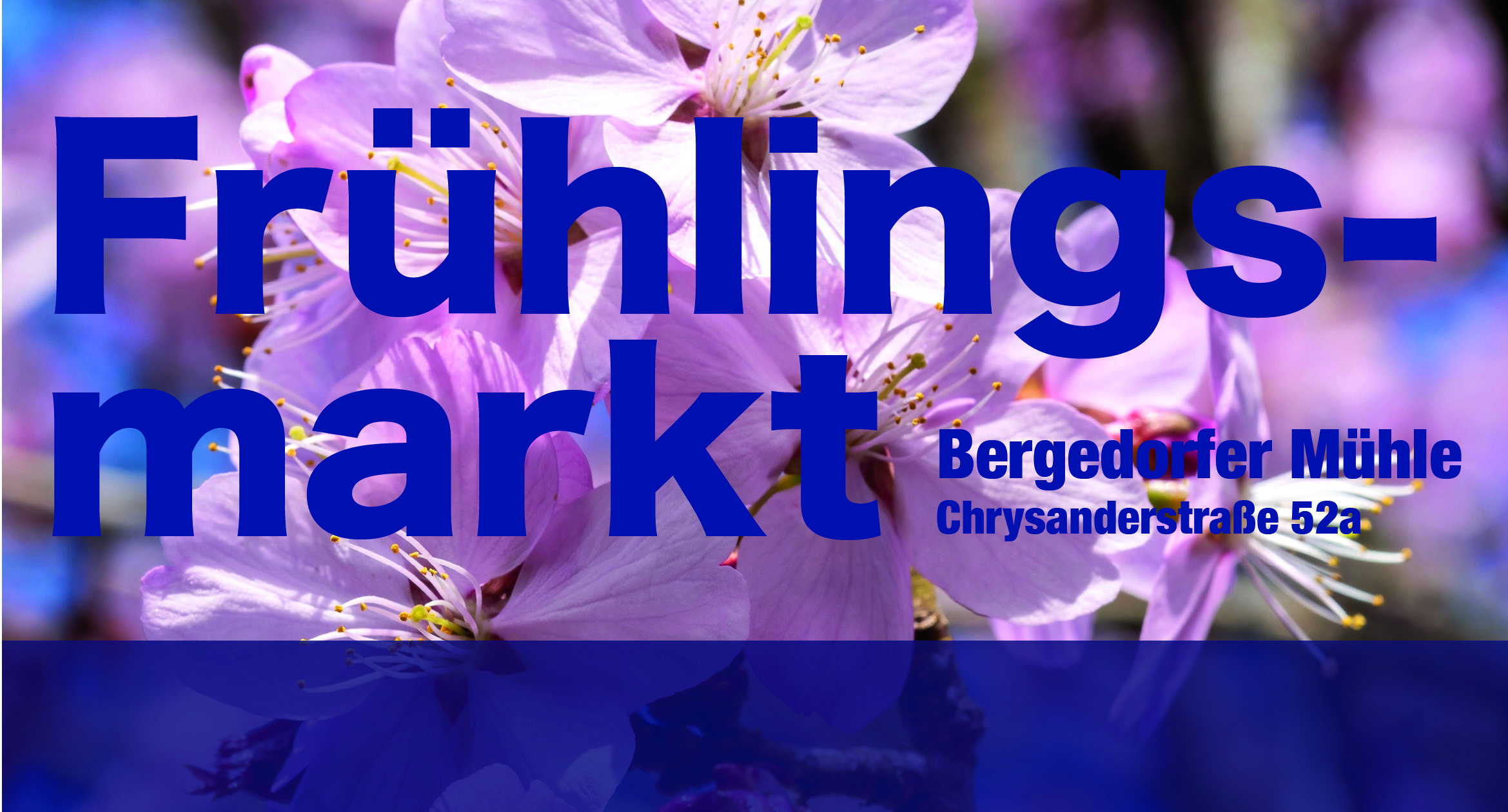 bm_quer_fruhjahrsmarkt2026