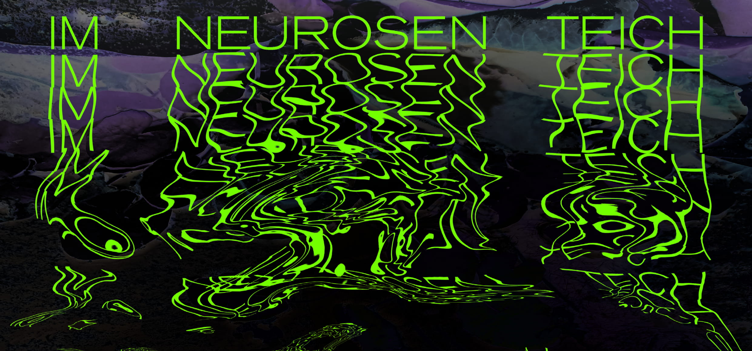 IM NEUROSENTEICH