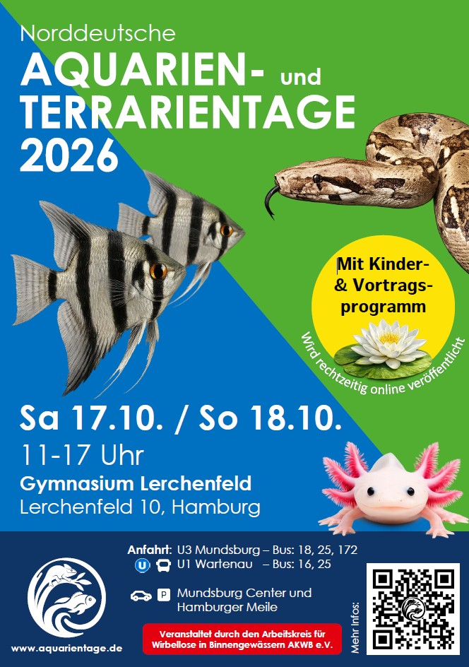 nat_plakat_2026