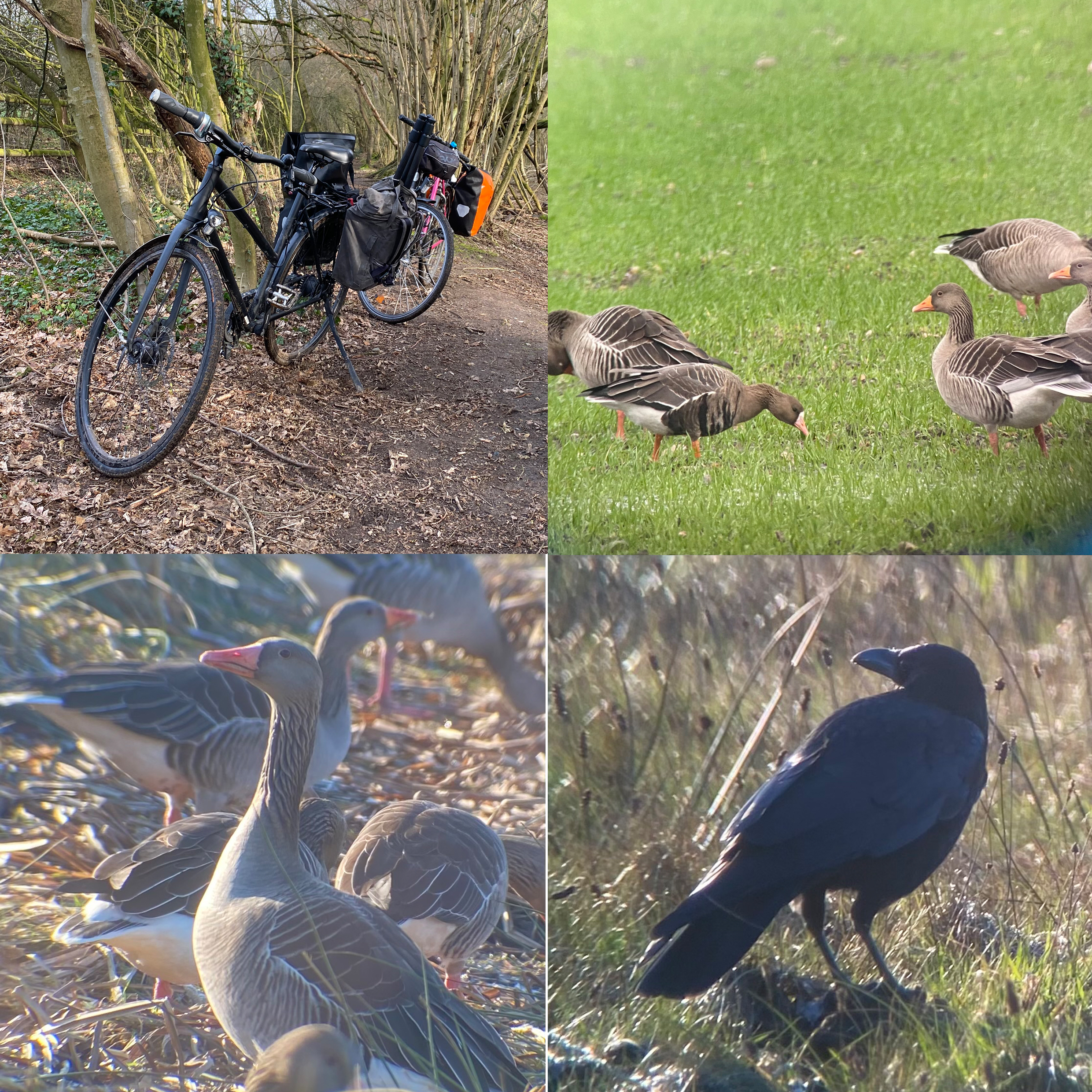 naturfuhrung_fahrradtour-collage_2