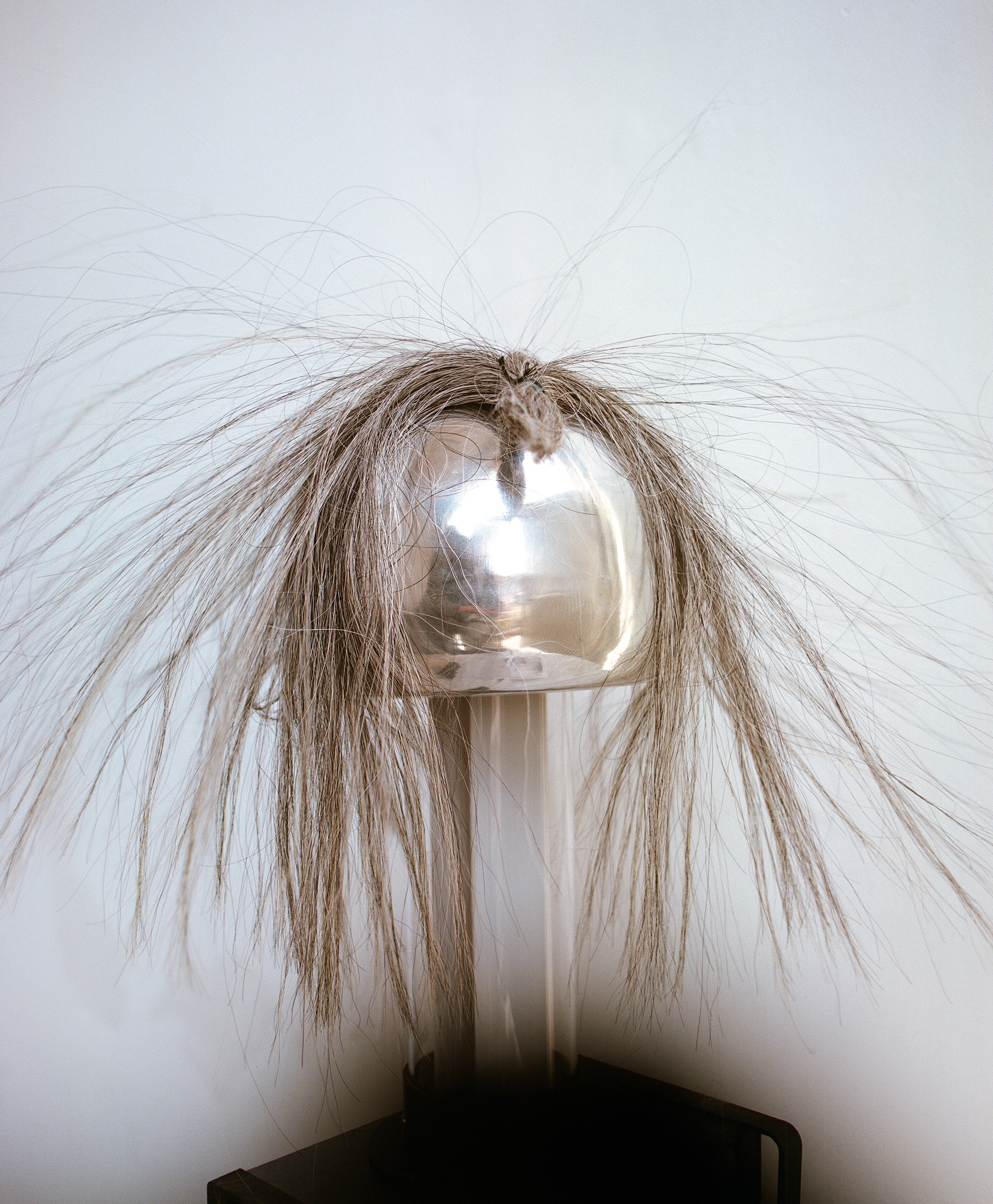 Nina Porter, Sample Question, 2026