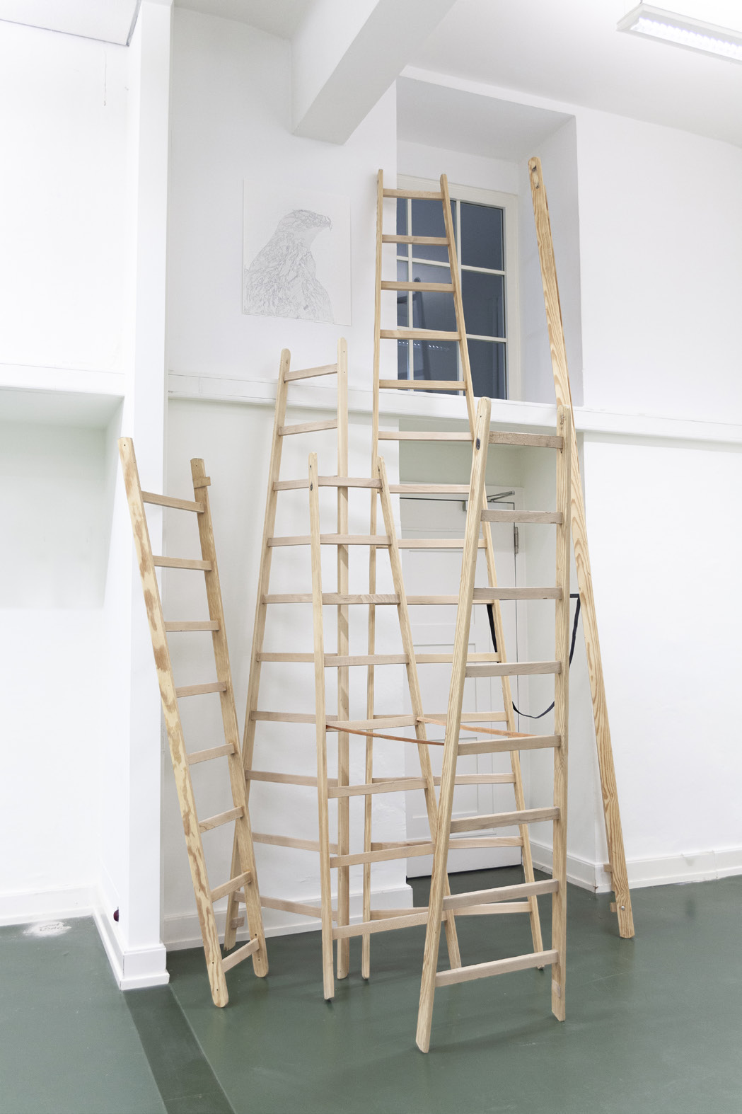 Omid Arabbay, Flügelschlag (Alman Dream), 2025, Zeichnung, Leiter