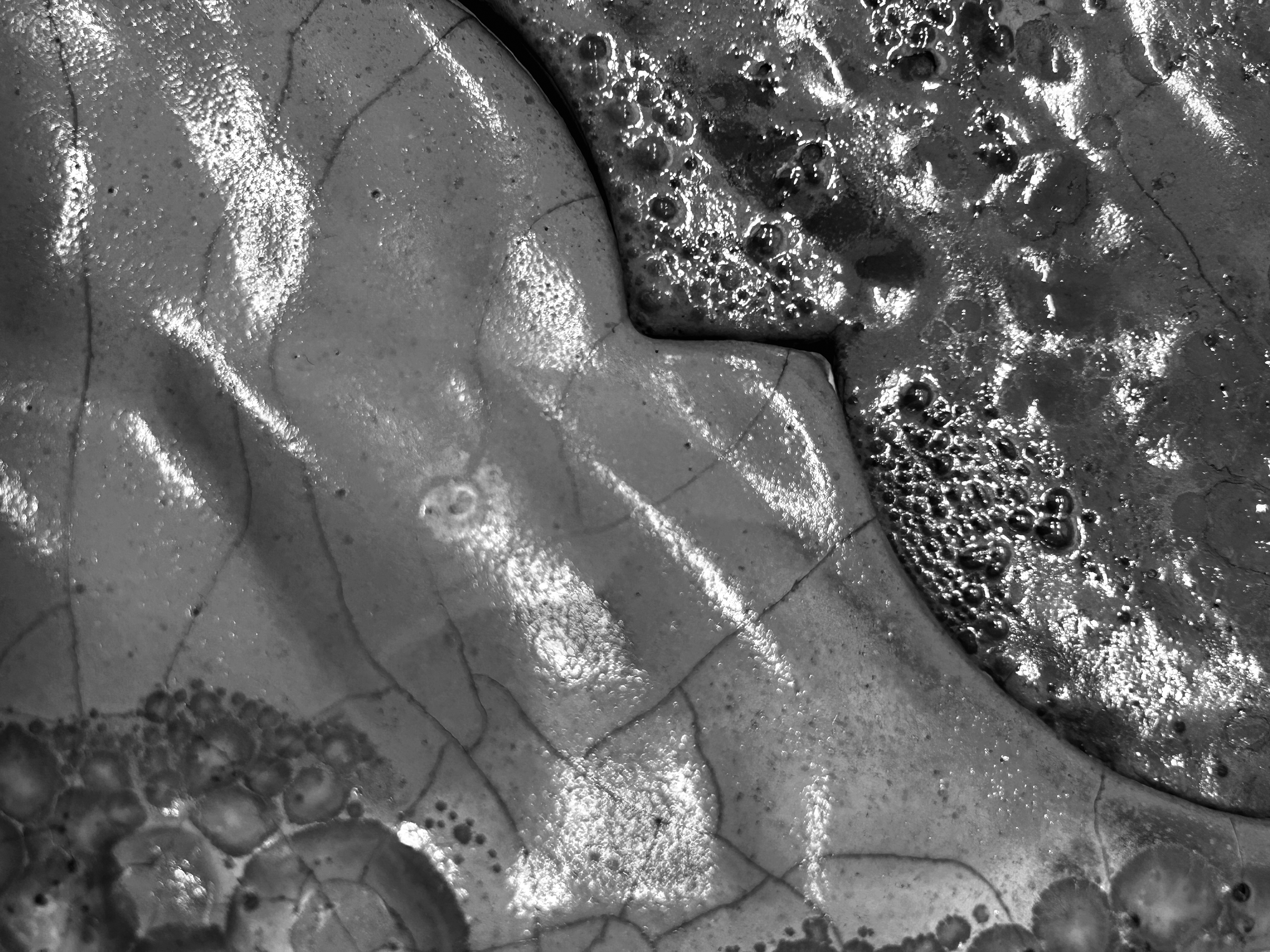 parliament-of-streams-lands-1