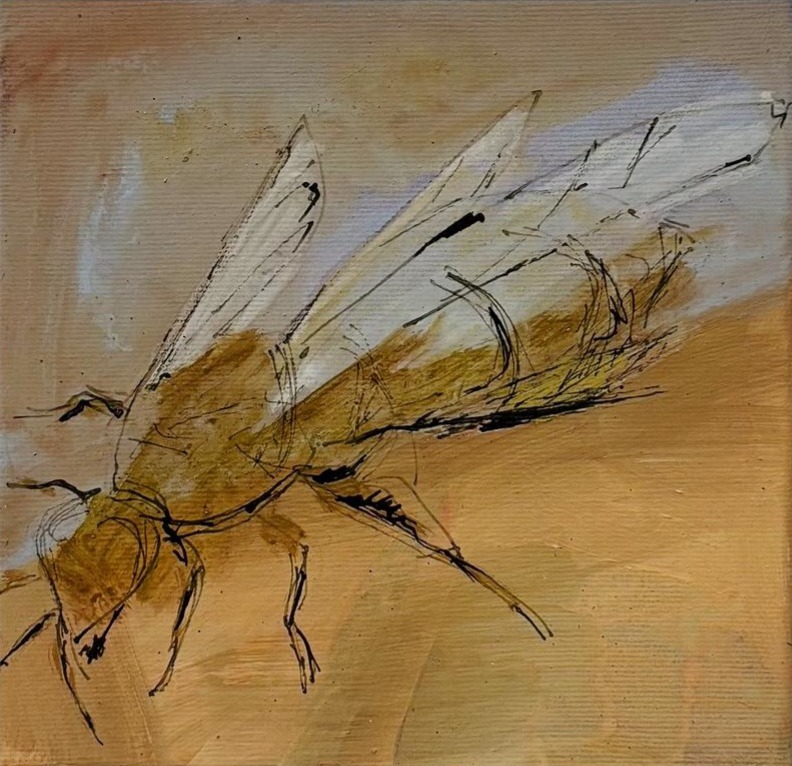 Fliege von waltraud stumme