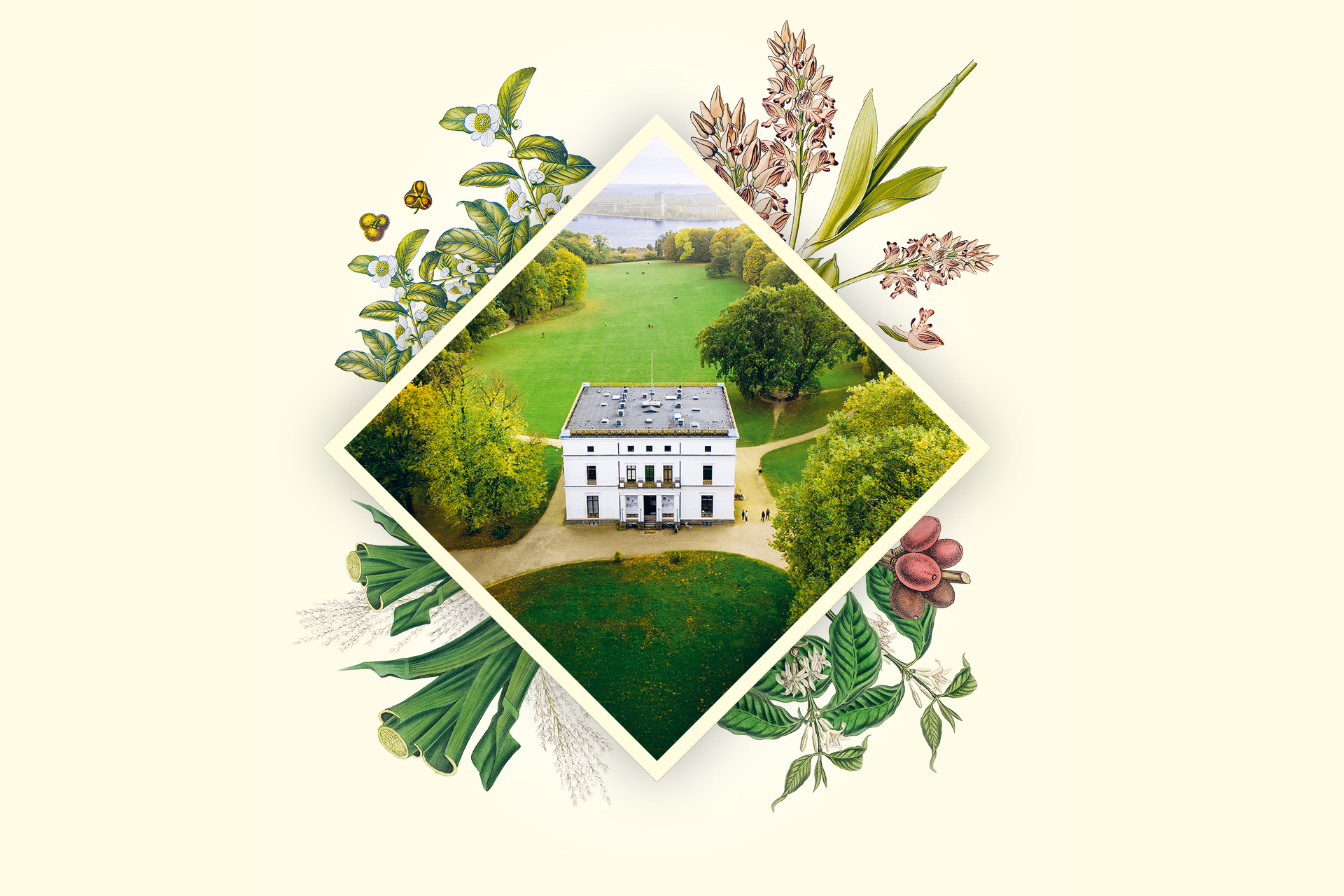 SHMH_JH-Parkomania_Onlineformate_1920x1080-pur