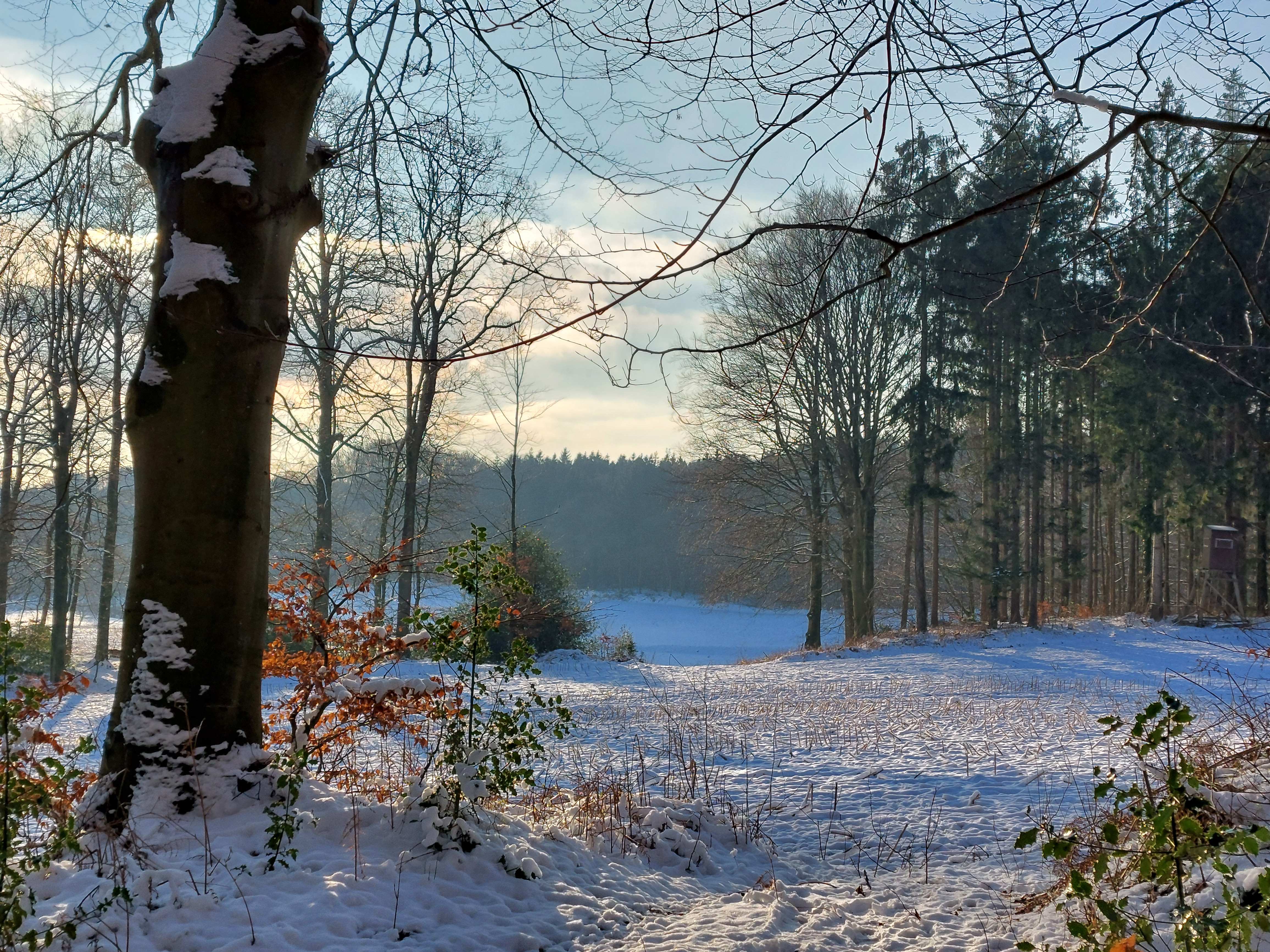 Vom Eise befreit