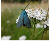 Wenn das Jahr erwacht